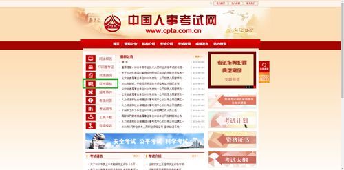 2025年護士資格電子證書打印入口及信息技術(shù)咨詢服務(wù)指南